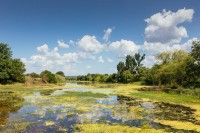 Paul do Boquilobo